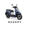 Scoopy Energetic dan Fashion