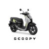 Scoopy Energetic dan Fashion