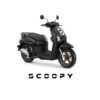 Scoopy Pristage dan Stylis