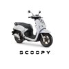 Scoopy Pristage dan Stylis