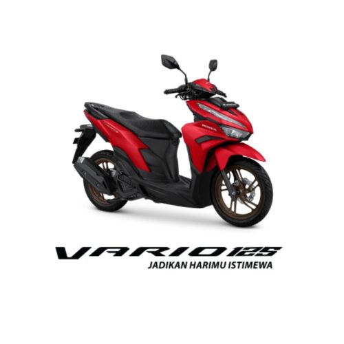 Vario 125 ISS