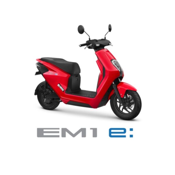 EM1 e Plus: + Charger