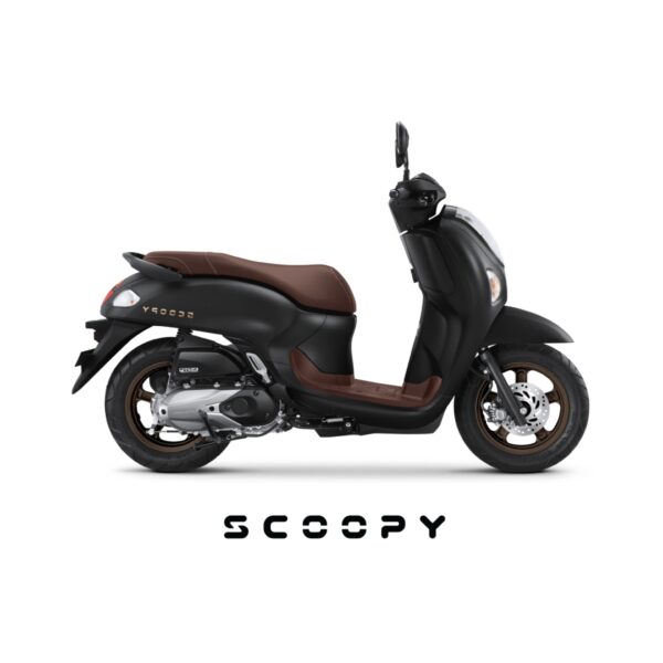 Scoopy Pristage dan Stylis