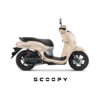 Scoopy Fashion