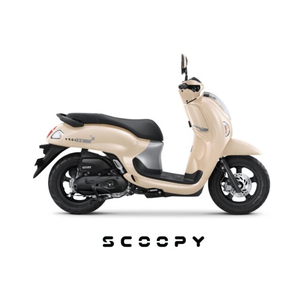 Scoopy Fashion