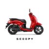 Scoopy Fashion