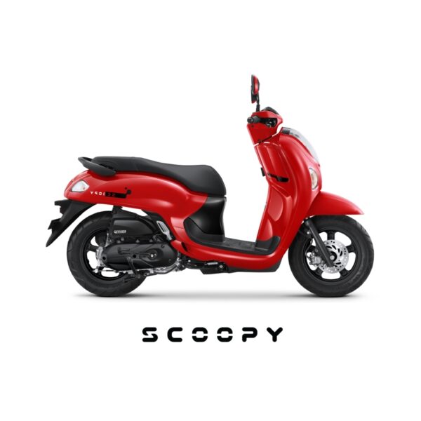 Scoopy Fashion
