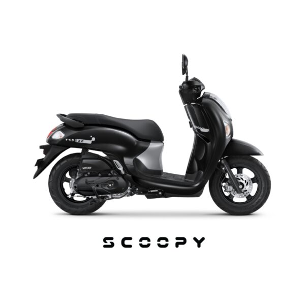 Scoopy Fashion