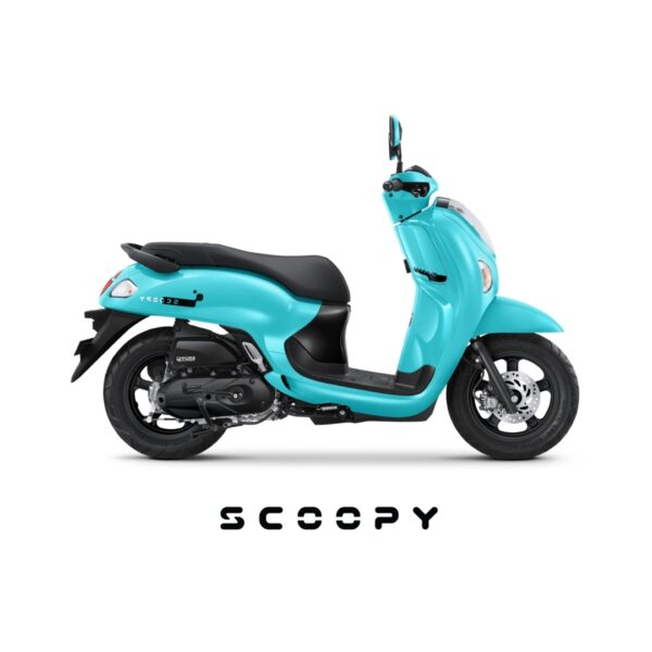 Scoopy Fashion